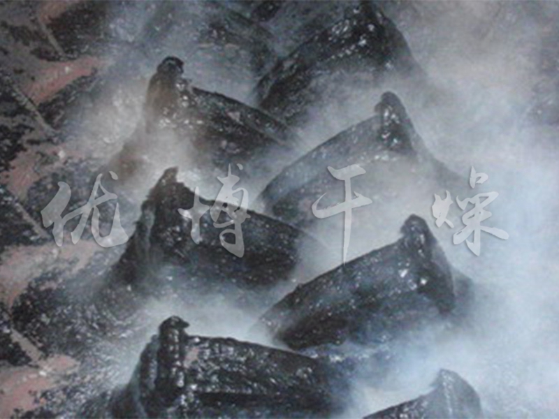 電鍍污泥干燥機