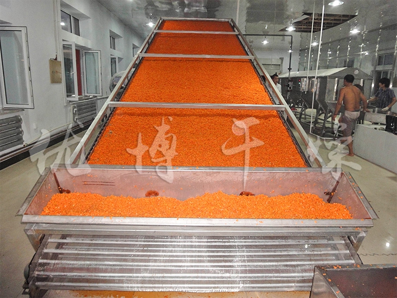 DWT系列脫水蔬菜干燥機